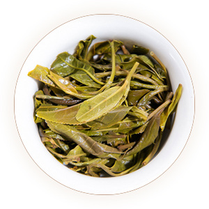 大雪山普洱茶 叶底
