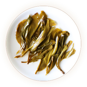 昔归普洱茶 叶底