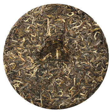 老曼峨普洱茶 外形