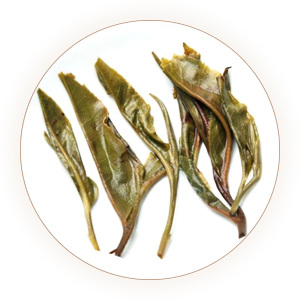 落水洞普洱茶 叶底