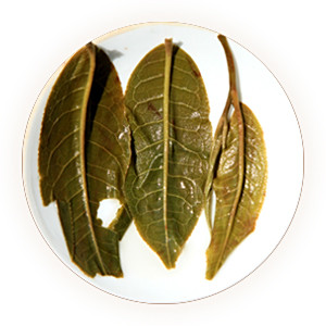 邦崴普洱茶 叶底