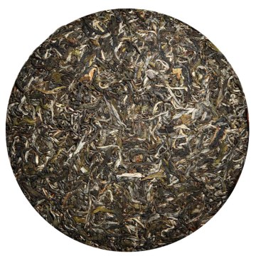 倚邦普洱茶 外形
