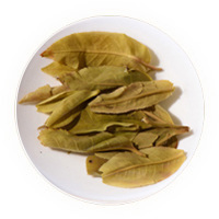 竹筒茶 叶底
