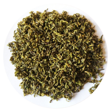 远安黄茶 外形