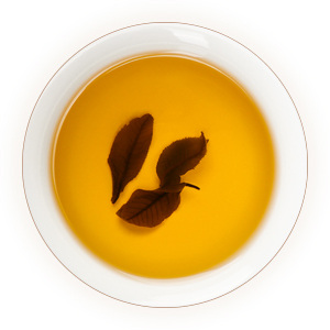 青钱柳茶 汤色