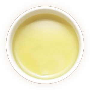 桑叶茶 汤色