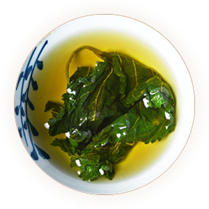桑叶茶 叶底