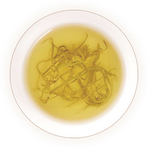 藤茶 叶底