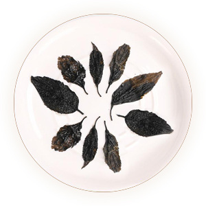 杜仲茶 叶底