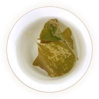 银杏叶茶 叶底