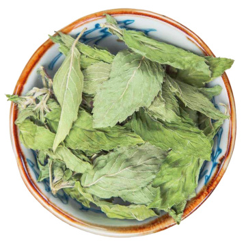 薄荷茶 外形