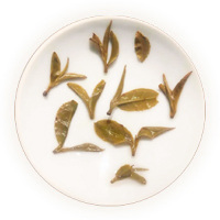 猫耳朵普洱茶 叶底