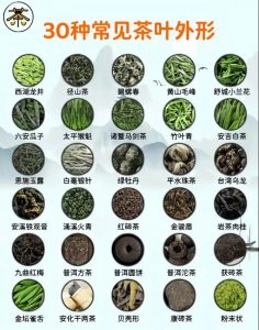 茶叶外形与品质有何关系？-茶之家