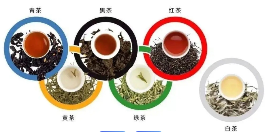 福建的茶叶有哪些品种-茶之家