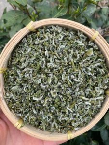 绿茶-临海蟠毫-茶之家