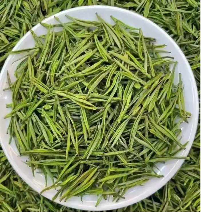 绿茶-安吉白茶-茶之家