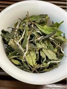 白茶--寿眉-茶之家