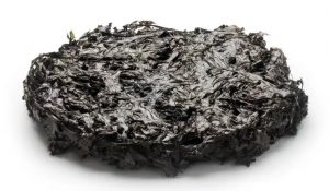 黑茶--黑毛茶-茶之家