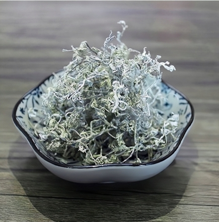 绿茶-仙人掌茶-茶之家