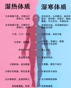 寒湿体质饮茶指南：5 款对症茶方 + 3 大禁忌，科学祛湿驱寒-茶之家