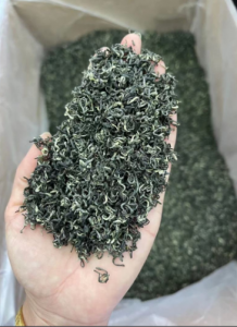 遵义毛峰价里藏雾甜？从百元到数千，裹着黔北春-茶之家