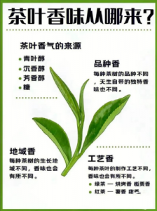 茶叶香藏在哪？3 个核心原因揭开茶香秘密-茶之家