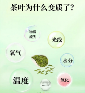 茶叶为啥会变质?5 个关键原因 + 防坏技巧-茶之家