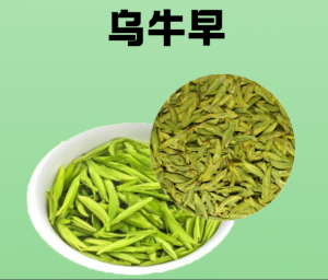 乌牛早价里藏早春？从百元到数千，喝瓯江头采鲜-茶之家