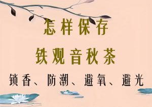 铁观音秋茶保存指南！5 招锁鲜秋香不跑味-茶之家
