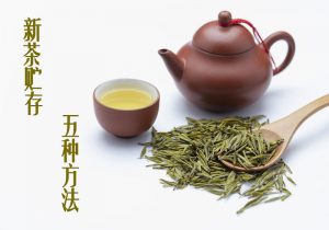 新茶贮存 5 招锁鲜！留住鲜灵，久存仍带初摘香-茶之家