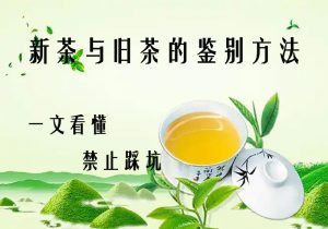 新茶老茶一眼辨？4 个核心鉴别法，不踩做旧坑！-茶之家