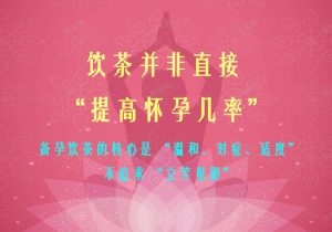 备孕饮茶不盲目！3 款温和茶饮助力好孕更稳妥-茶之家
