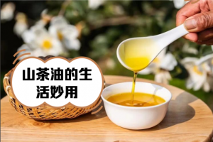 茶油 5 种鲜吃做法！润而不腻锁营养，炒菜凉拌都适配-茶之家