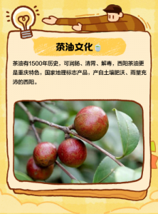 皇封御贡茶油：从民间珍馐到宫廷御品的传奇之路-茶之家