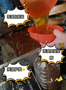 茶油护发太绝了！5 大场景用法 + 修护受损发质指南-茶之家