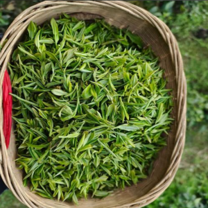 紫阳翠峰价格大公开！3 等级 + 避坑价目 不花冤枉钱-茶之家