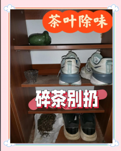 茶叶除鞋臭太绝了！5 种零成本用法 + 长效防臭技巧-茶之家