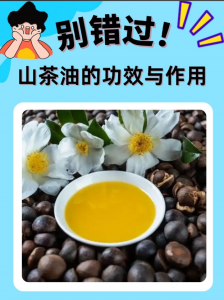 茶油竟藏 10 大妙用！覆盖饮食 / 家居 / 护理，天然无添加超实用-茶之家