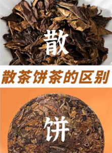 白茶选散茶还是饼茶？5 大维度对比 + 场景精准适配-茶之家
