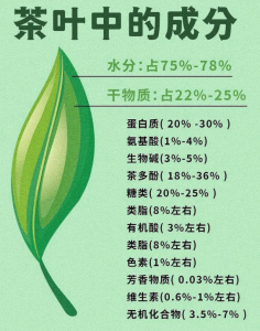 茶叶 6 大核心成分揭秘！功效与茶类分布全解析-茶之家