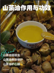 茶油辅助调节血糖？核心营养 + 科学食用指南（非药物替代）-茶之家