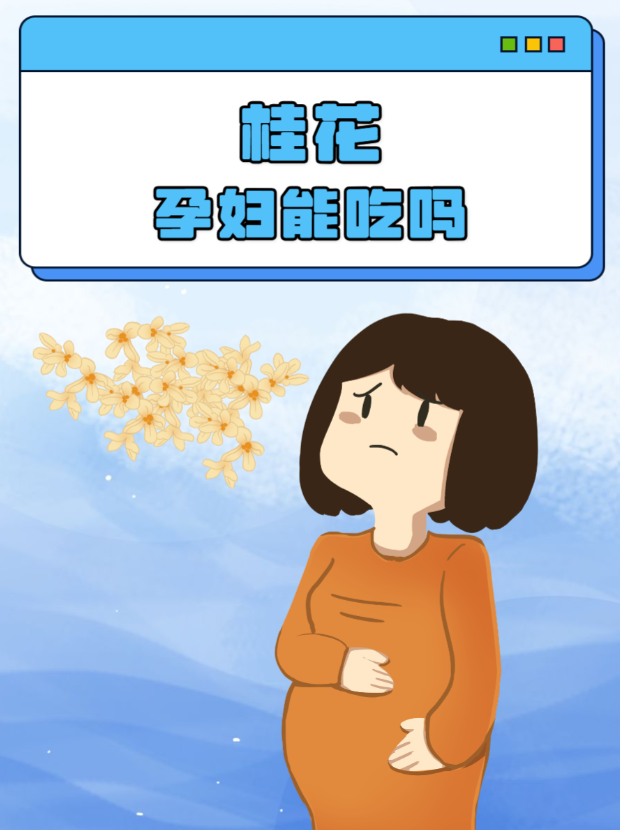 孕妇能喝桂花茶吗？孕期饮用桂花茶的注意事项，新手孕妈必看-茶之家