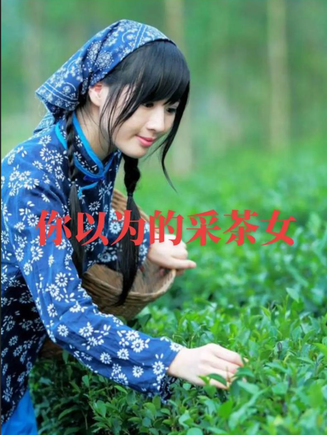 丑女孩是一杯茶，等得起的人才懂-茶之家