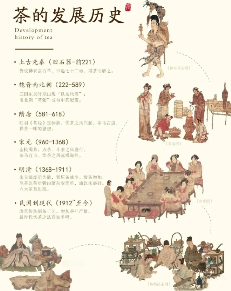 千年茶脉，今又新生-茶之家